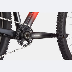 Cannondale-Trail Sl 3--Lillehammer Sport-4