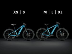 Trek-Powerfly 4--Lillehammer Sport-2