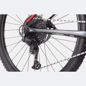 Cannondale-Trail Sl 3--Lillehammer Sport-5