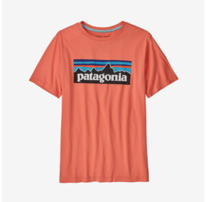 Patagonia-Regenerative-Organic-Certified-Cotton-P-6-Logo-T-Shirt-Kids-P62163-Lillehammer-Sport-1