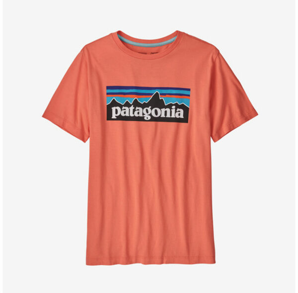 Patagonia-Regenerative-Organic-Certified-Cotton-P-6-Logo-T-Shirt-Kids-P62163-Lillehammer-Sport-1
