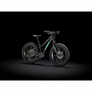 Trek-Roscoe 20--Lillehammer Sport-2