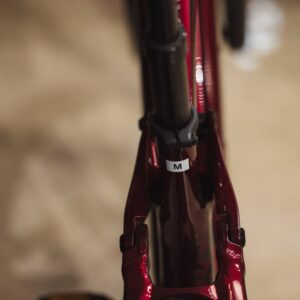 Trek-Rail 5 625W Gen 3 --Lillehammer Sport-4