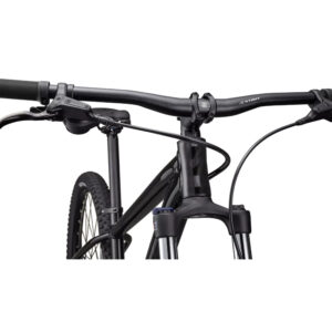 SPECIALIZED-Rockhopper Comp 29--Lillehammer Sport-3