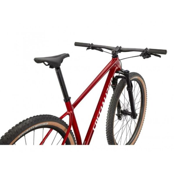 SPECIALIZED-Specilized Chisle Ht Comp–Lillehammer Sport-5 SPECIALIZED-Specilized Chisle Ht Comp--Lillehammer Sport-5