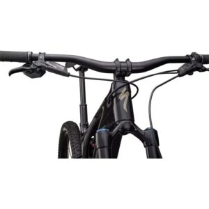 SPECIALIZED-Turbo Levo Expert--Lillehammer Sport-3