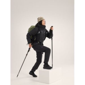 ArcTeryx Beta AR Jacket W - Stormhood - Bilde 5