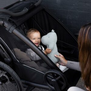 Thule Chariot Sport 2 double - Bilde 11