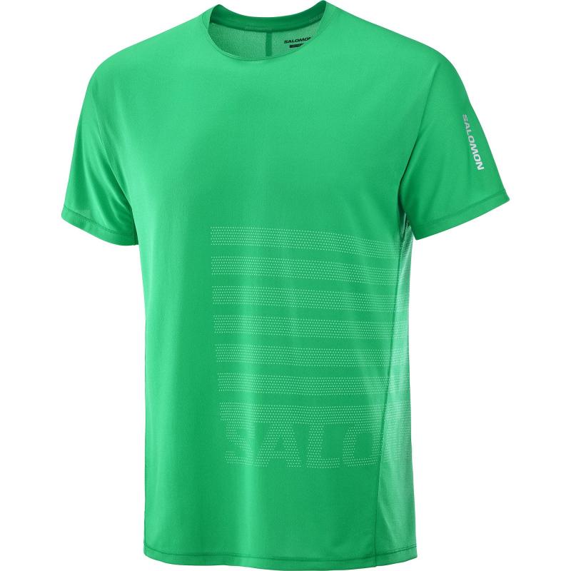Salomon Sense Aero Ss Tee Gfx M - Bilde 1