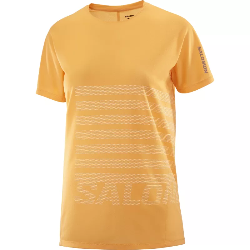 Salomon Sense Aero Ss Tee Gfx W - Bilde 1