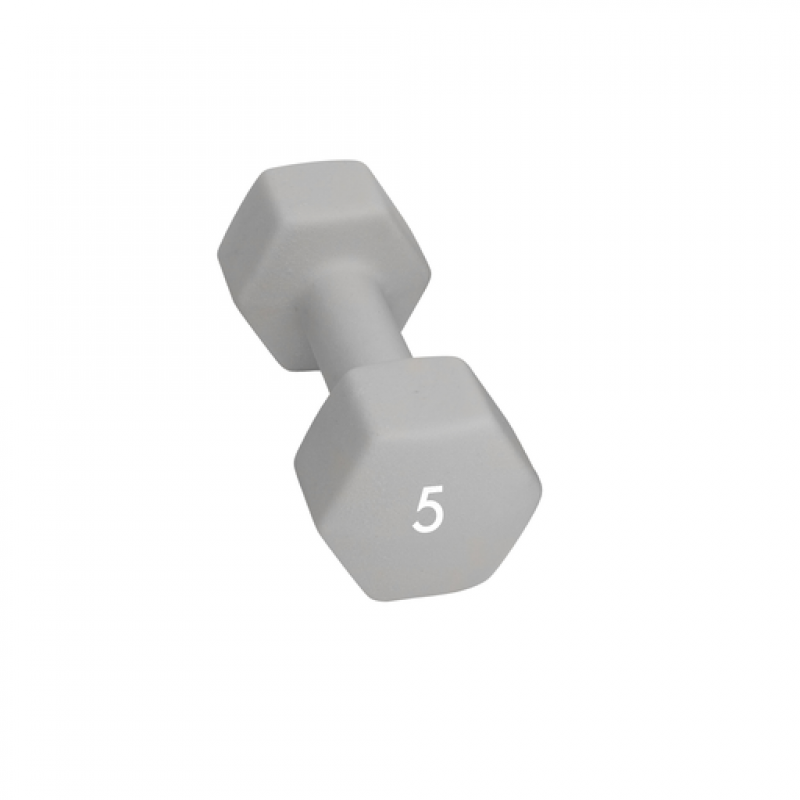 Abilica Abilica Dumbbell 5 Kg 374279 Lillehammer Sport 1