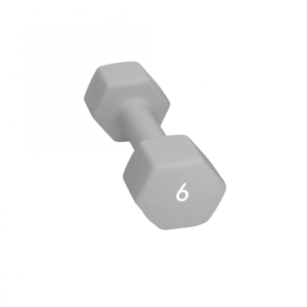 Abilica-Abilica–Dumbbell-6-Kg-374280-Lillehammer-Sport-1 Abilica Abilica Dumbbell 6 Kg 374280 Lillehammer Sport 1