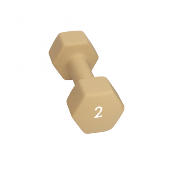Abilica Abilica Dumbbell 2 Kg 374276 Lillehammer Sport 1