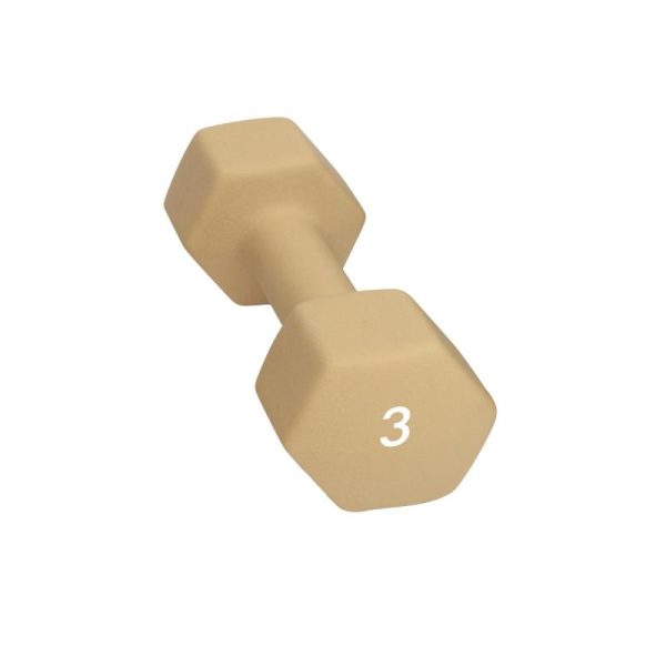 Abilica-Dumbbell 3 Kg-374277-Lillehammer Sport-1 Abilica Dumbbell 3 Kg