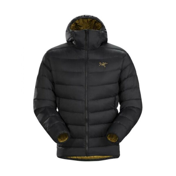 ArcTeryx Thorium AR Hoody Men's