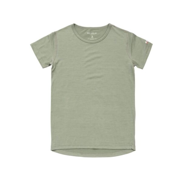 Devold Devold Breeze Plus Merino 200 T-Shirt Wmn GO 183 216 D Lillehammer Sport 1