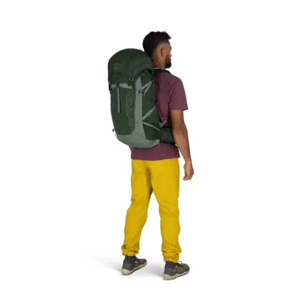 Osprey Talon 33