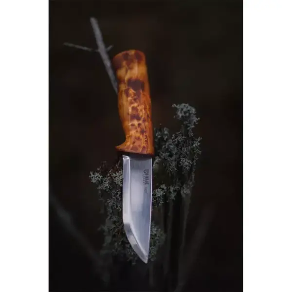 Helle Eggen H3LS