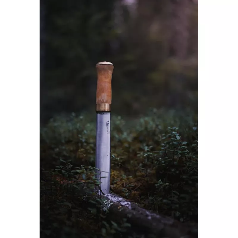 Helle Lappland - Bilde 6