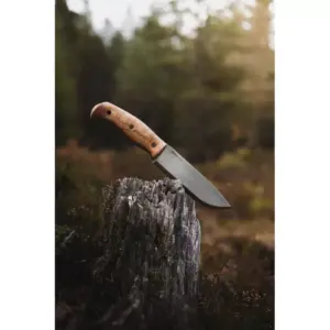 Helle Nord - Bilde 5