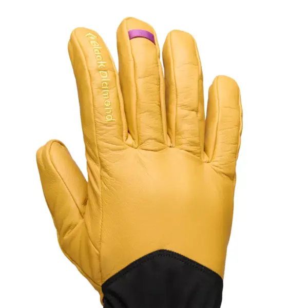 Black Diamond Tour Gloves