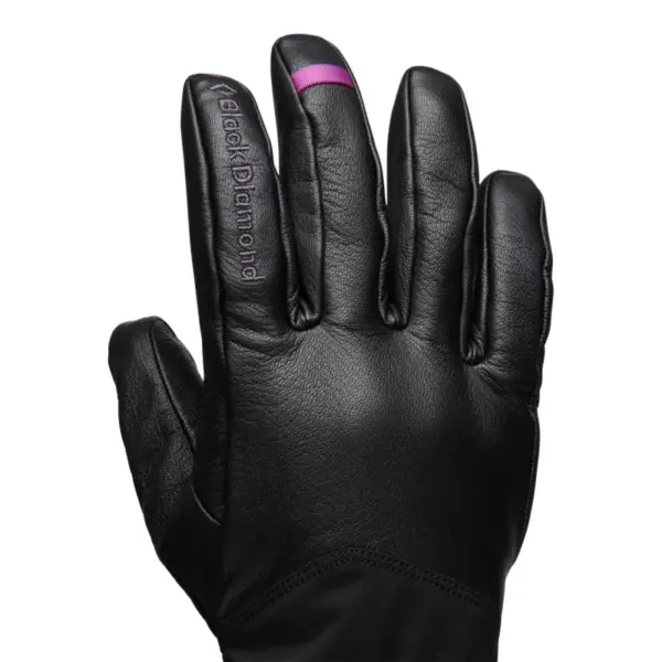 Black Diamond Tour Gloves