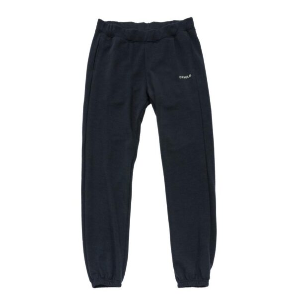 Devold Devold Everyday Pants Man GO 262 170 A Lillehammer Sport 1