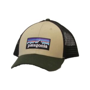 Patagonia Patagonia P-6 Logo LoPro Trucker Hat P38283 Lillehammer Sport 1