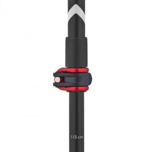 Åsnes Falketind Pole 2-Section V2 - Bilde 3