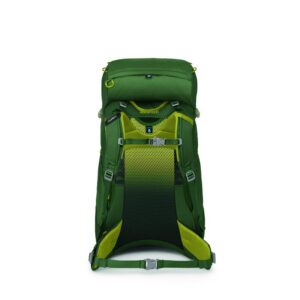 Osprey Osprey Ace 38 3257 Lillehammer Sport 2