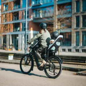 Thule Yepp 2 Maxi Sykkelbarnesete (Rammemontert) - Bilde 5