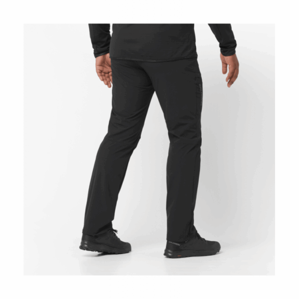 Salomon Wayfarer Pants 2.0 M